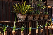 Luang Prabang, Laos. French colonial architecture 